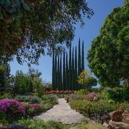 Quinta Maria En La Ruta Del Vino Bed and Breakfast Valle de Guadalupe Buitenkant foto