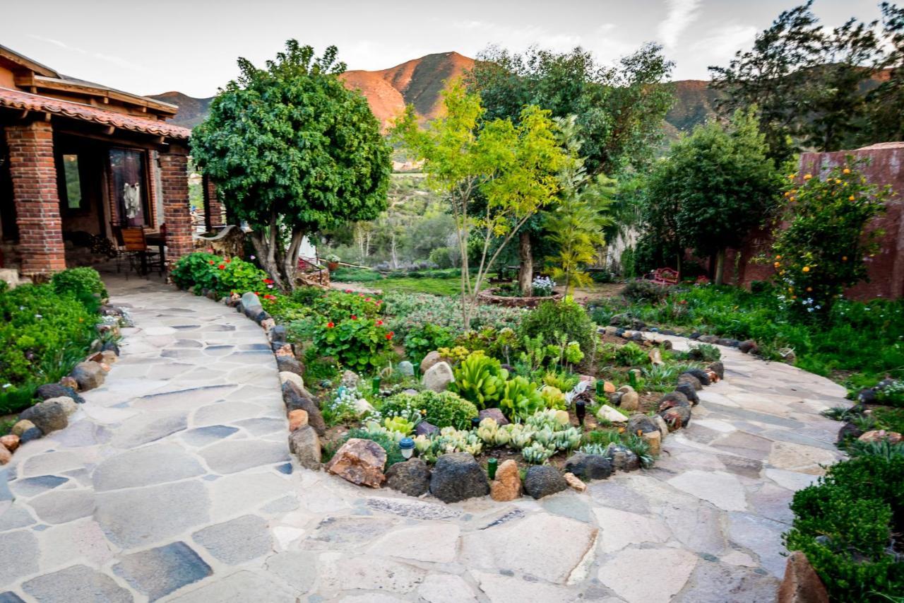 Quinta Maria En La Ruta Del Vino Bed and Breakfast Valle de Guadalupe Buitenkant foto