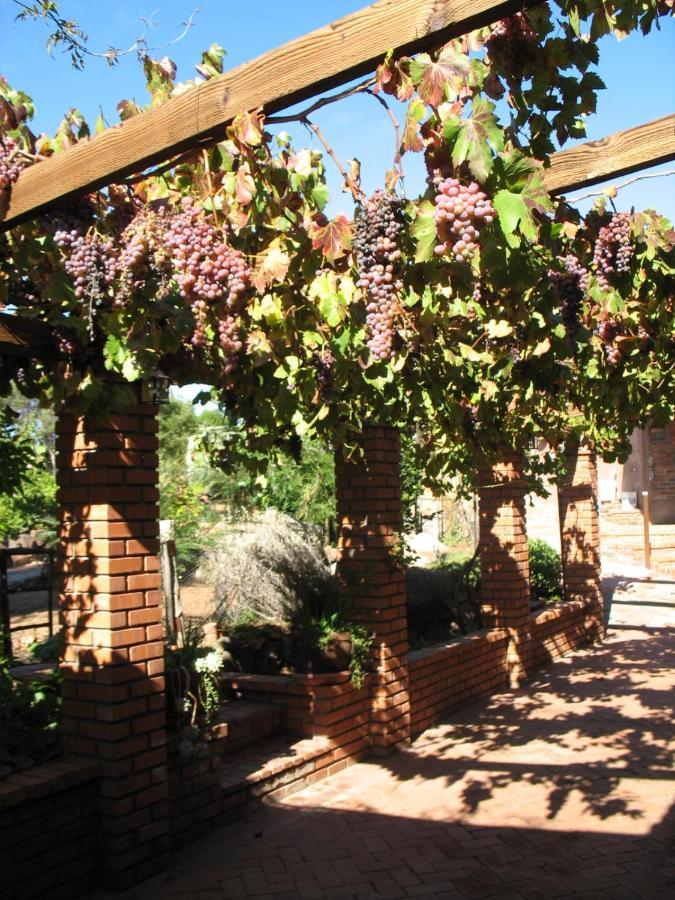 Quinta Maria En La Ruta Del Vino Bed and Breakfast Valle de Guadalupe Buitenkant foto
