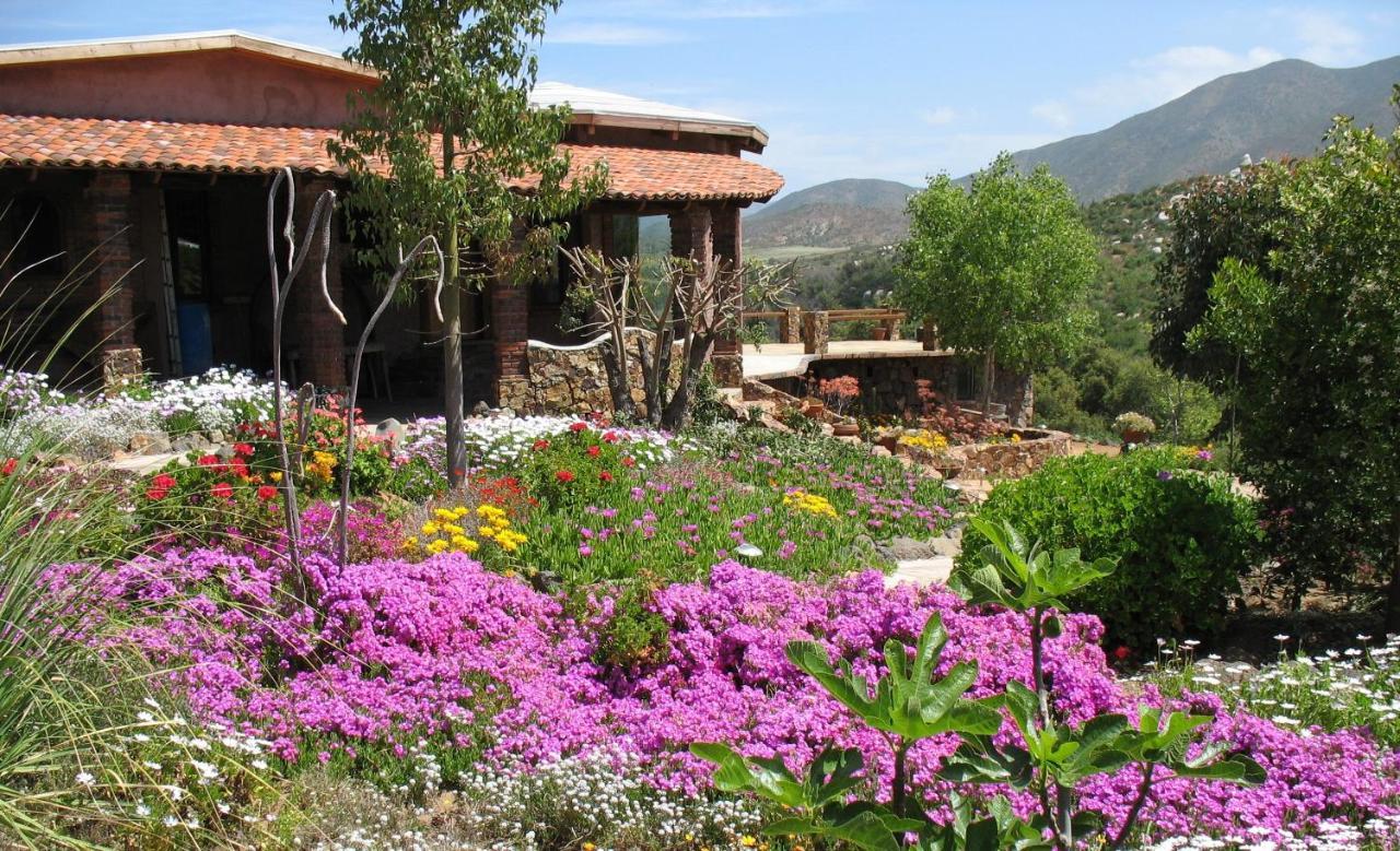 Quinta Maria En La Ruta Del Vino Bed and Breakfast Valle de Guadalupe Buitenkant foto