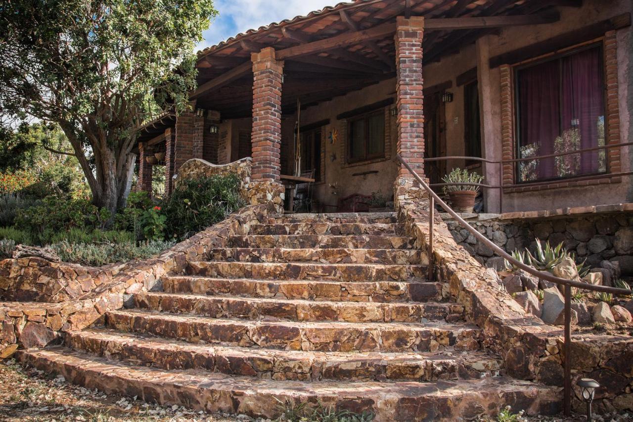 Quinta Maria En La Ruta Del Vino Bed and Breakfast Valle de Guadalupe Buitenkant foto