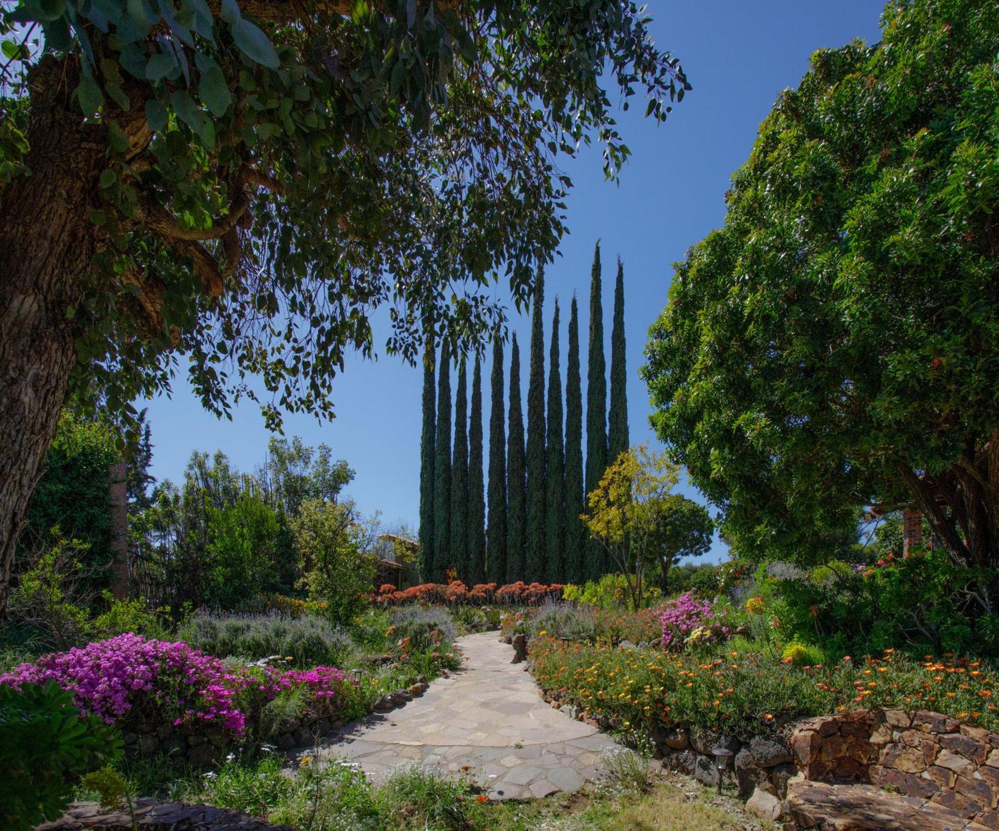 Quinta Maria En La Ruta Del Vino Bed and Breakfast Valle de Guadalupe Buitenkant foto
