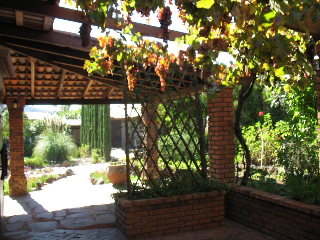 Quinta Maria En La Ruta Del Vino Bed and Breakfast Valle de Guadalupe Buitenkant foto